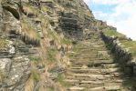 PICTURES/Whaligoe Steps/t_Steps5.JPG